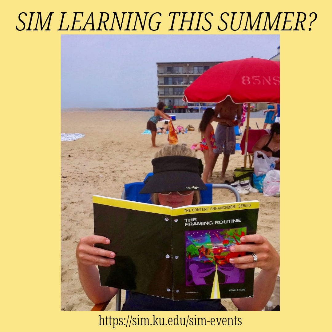 Reading a SIM manual on the beach