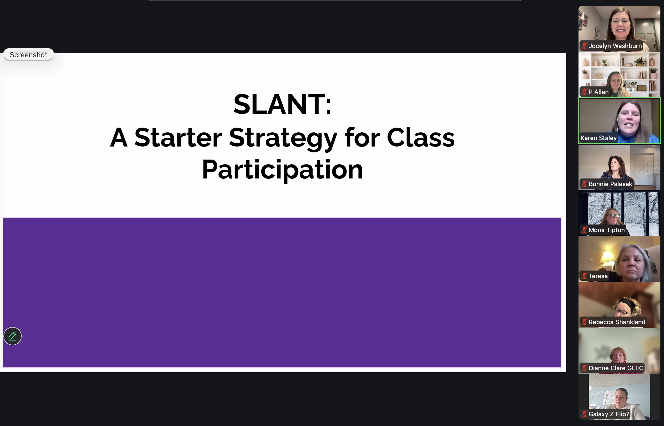 SLANT webinar screenshot