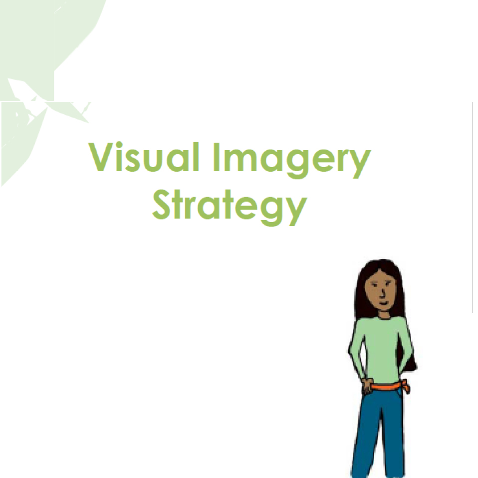 Visual Imagery